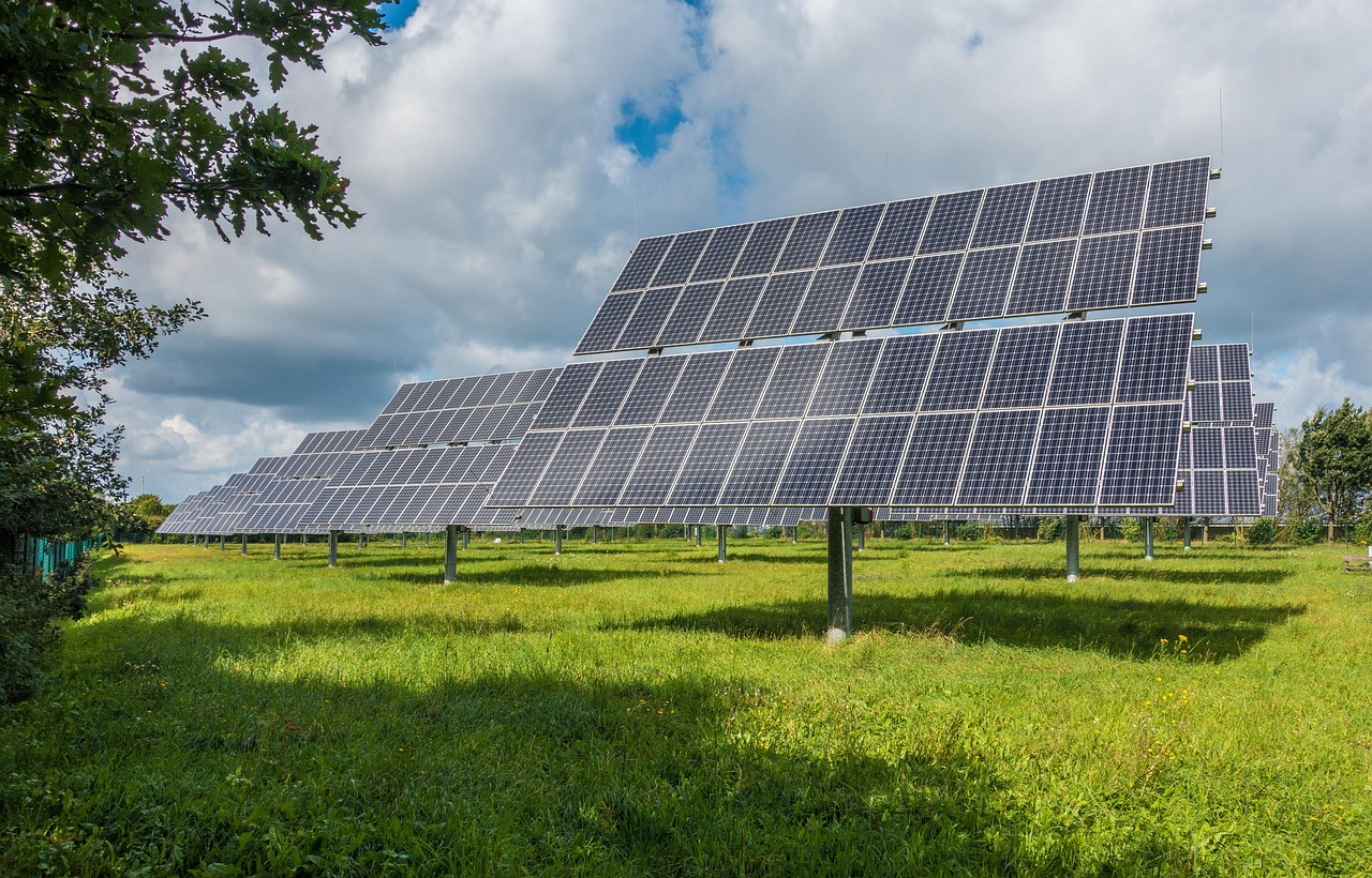 Ground-mounted solar array in a field